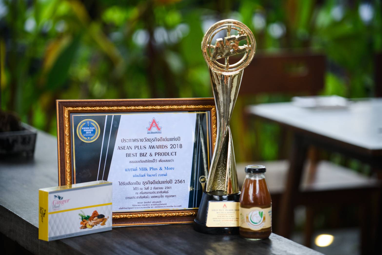 ASEAN PLUS AWARD 2018